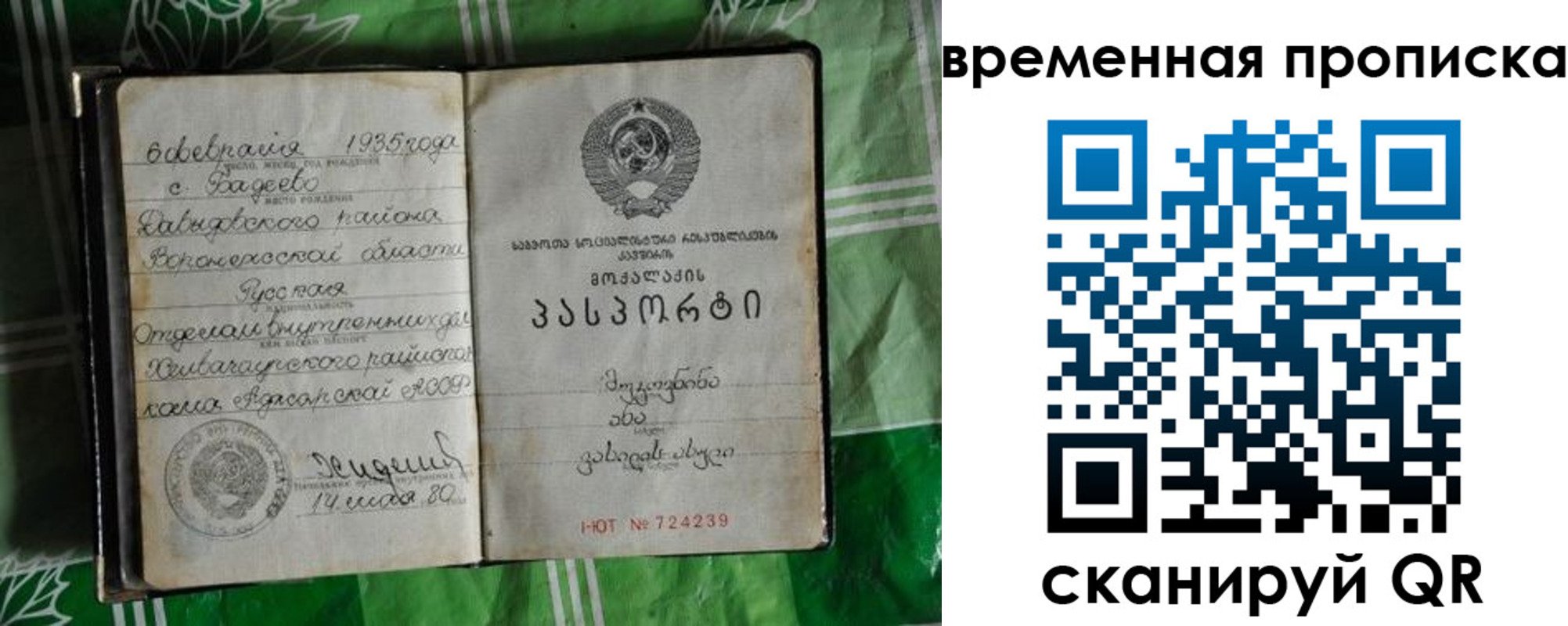 прописка в Белёве